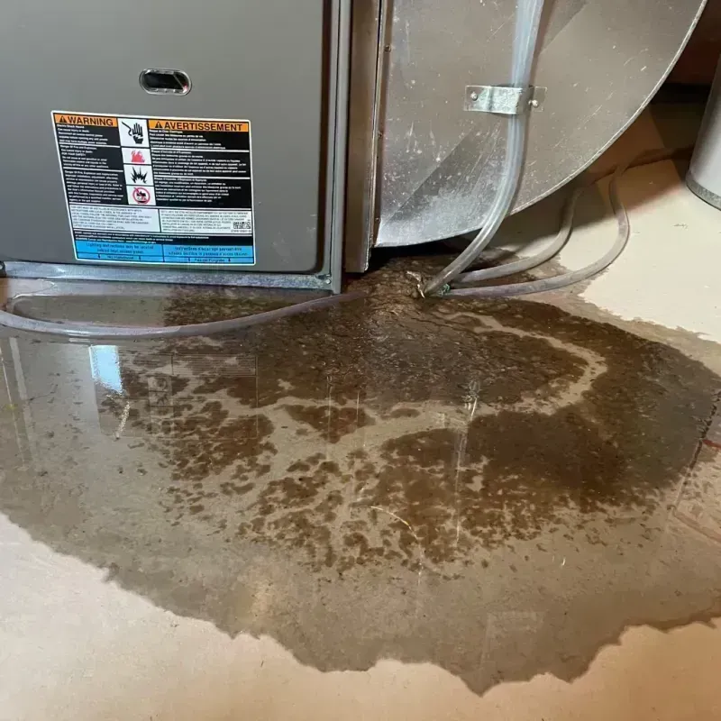 Appliance Leak Cleanup in New Town, ND